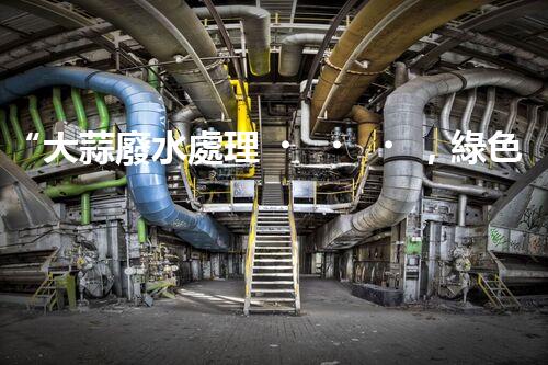 “大蒜廢水處理，綠色環(huán)保新篇章”